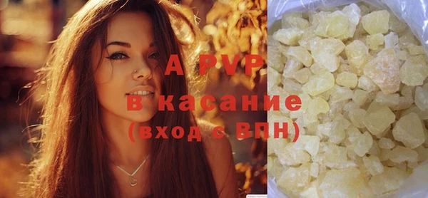 стаф Абаза