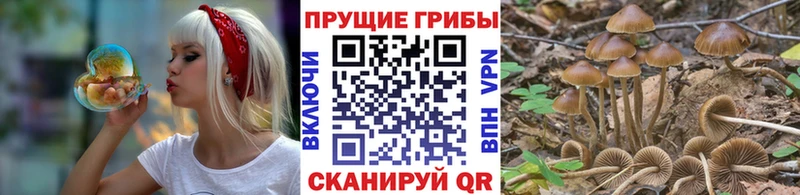 Псилоцибиновые грибы ЛСД  Шебекино 