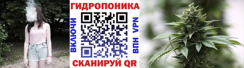 Конопля ГИДРОПОН как найти закладки Шебекино
